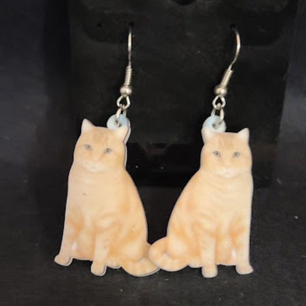 Orange Tabby Earrings